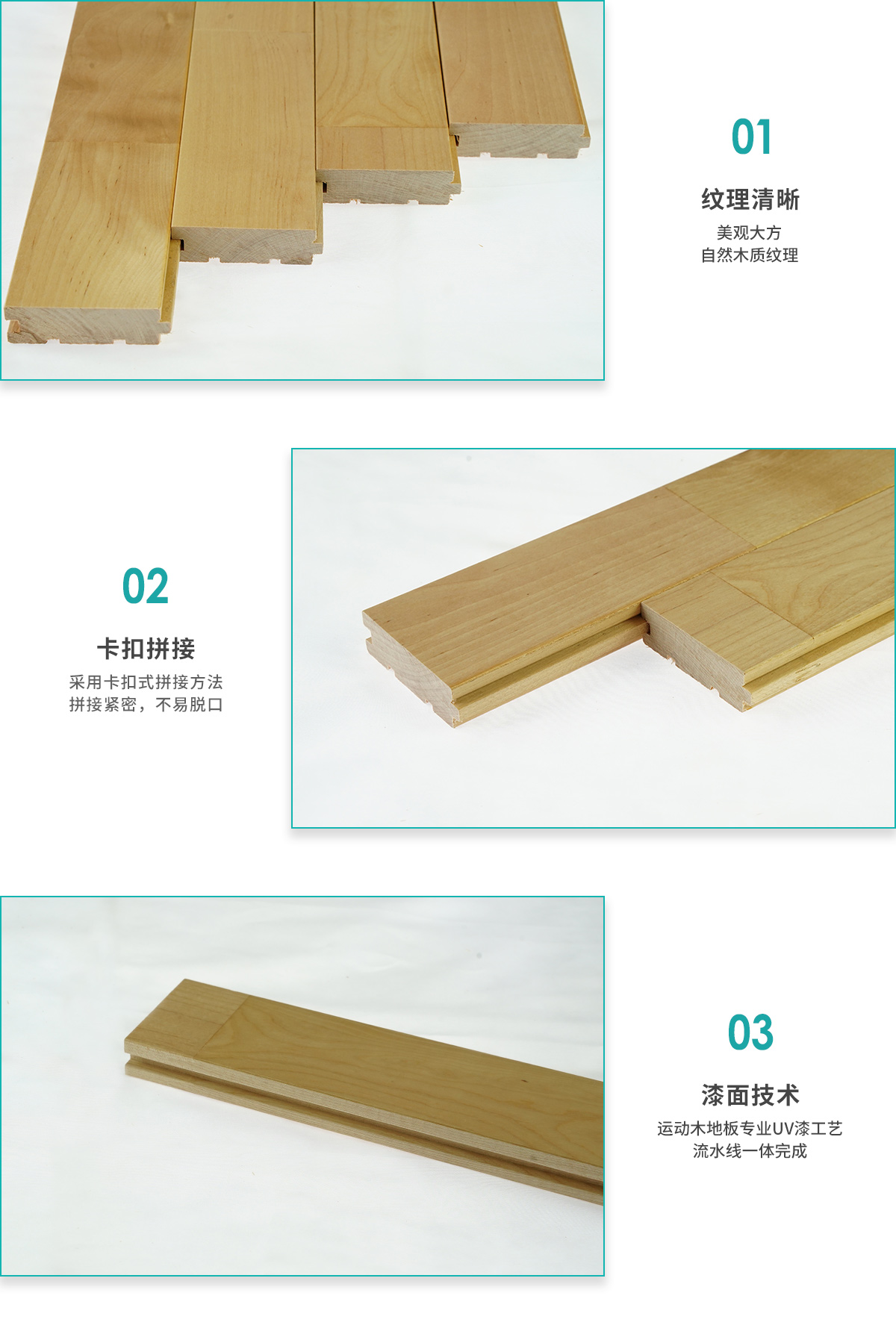 枫桦木A.jpg